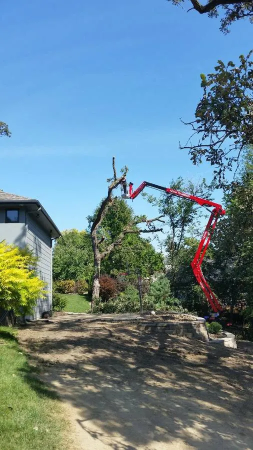 Reliable landscape design for beautiful yards in North Liberty, IA by Tree Service of North Liberty