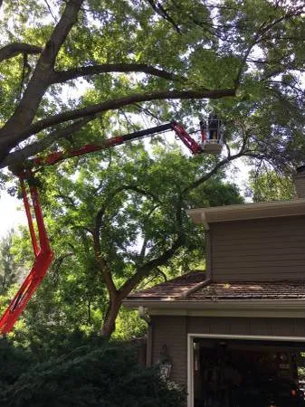 Local yard maintenance near you across North Liberty, IA - Tree Service of North Liberty