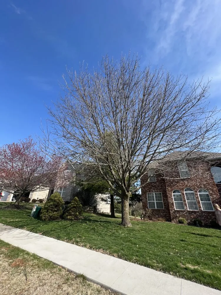 Top-rated landscaping services experts serving North Liberty, IA - Tree Service of North Liberty