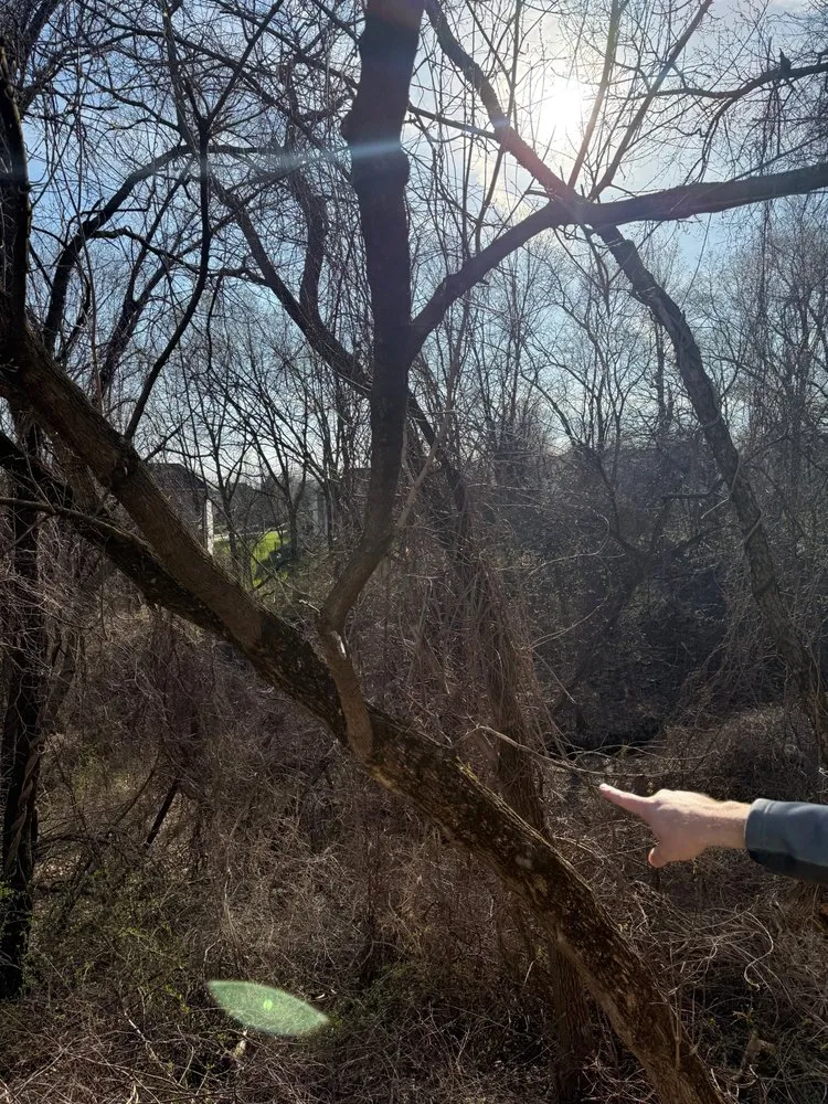 Affordable residential landscaping in North Liberty, IA by Tree Service of North Liberty