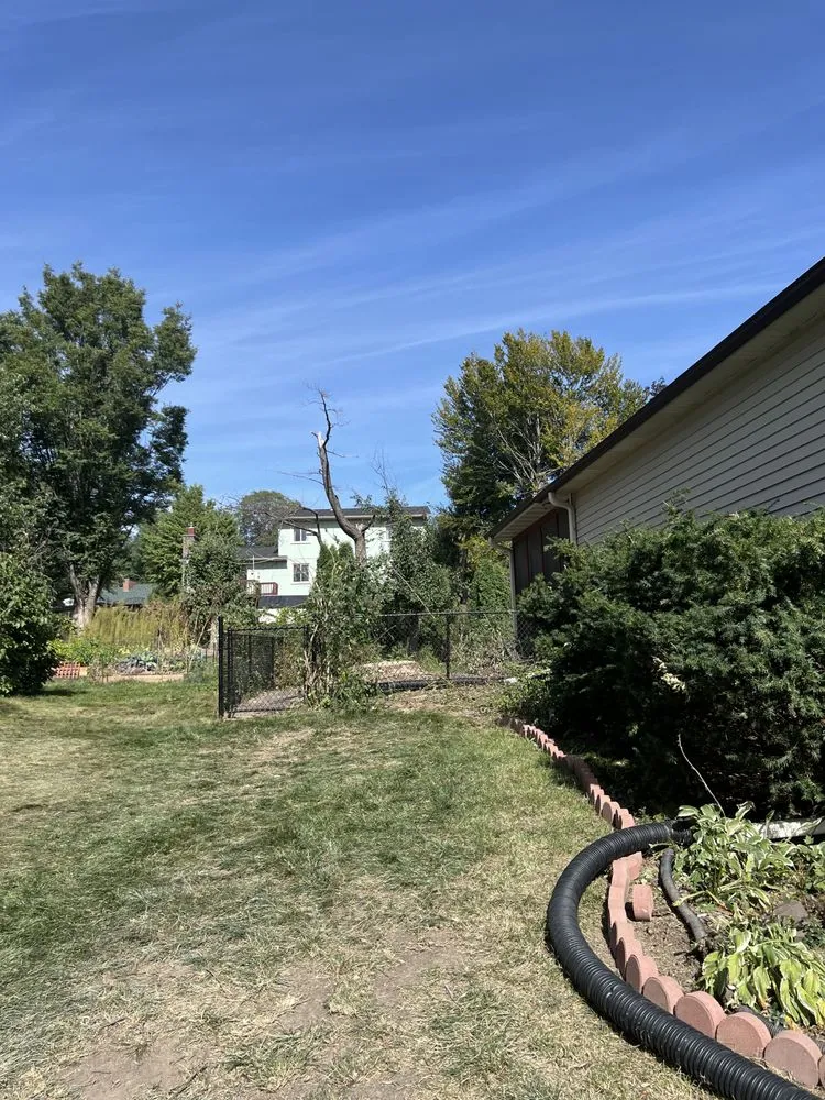 Expert landscape design in North Liberty, IA - Tree Service of North Liberty