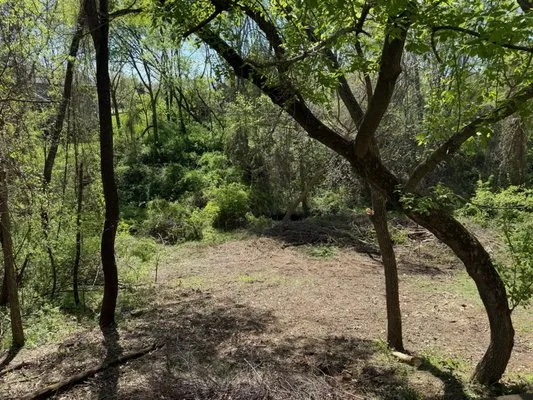 Tree Service of North Liberty
