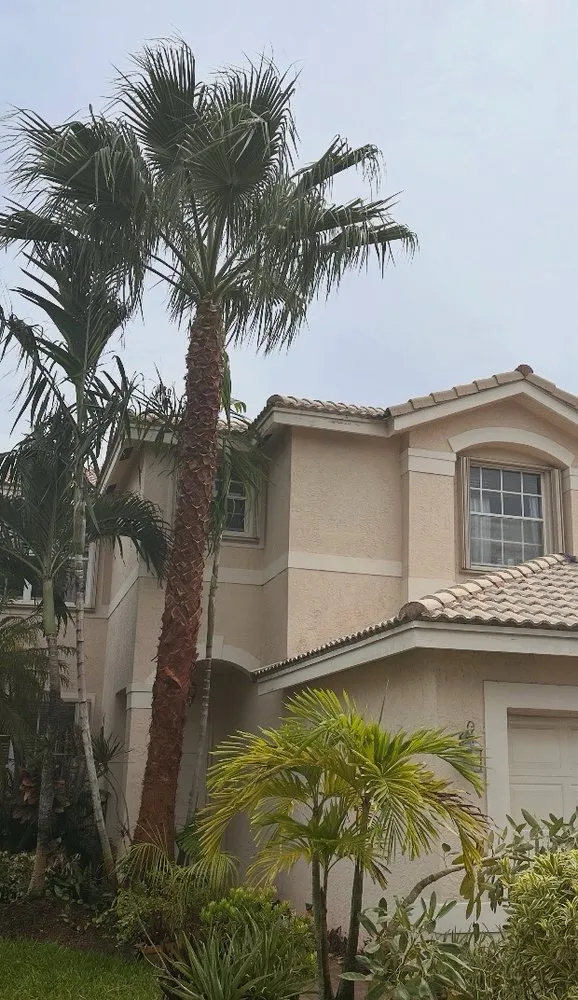 Professional residential landscaping near you across Davie, FL - Tree Service Of South Florida