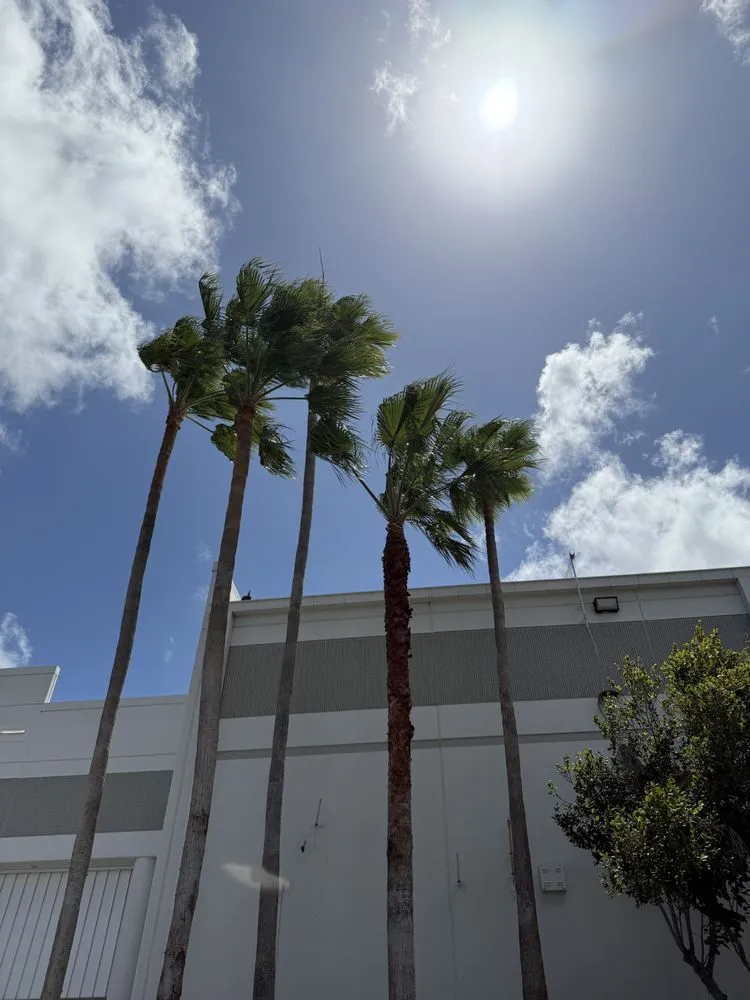 Affordable lawn care service for beautiful yards in Davie, FL by Tree Service Of South Florida