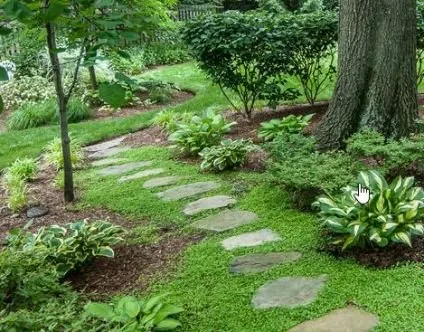 Trusted landscaping services near you in Sugar Land, TX by Tree Service of Sugar Land