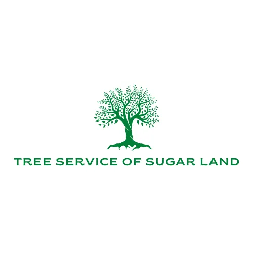 Reliable lawn mowing service experts serving Sugar Land, TX - Tree Service of Sugar Land
