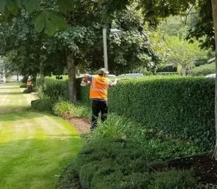 Professional garden landscaping in Sugar Land, TX by Tree Service of Sugar Land