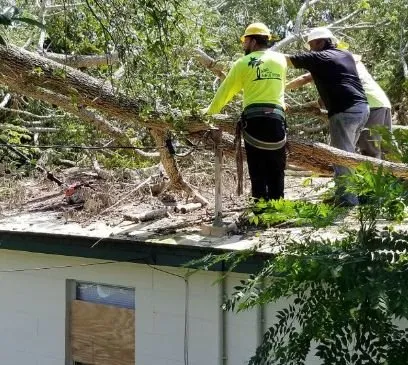 Local landscape design experts serving Sugar Land, TX - Tree Service of Sugar Land