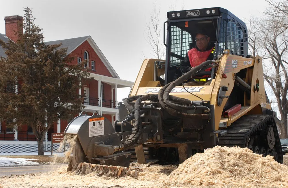 Affordable residential landscaping in South Ogden, UT - Tree Service Ogden