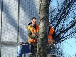 Expert residential landscaping experts serving South Ogden, UT - Tree Service Ogden