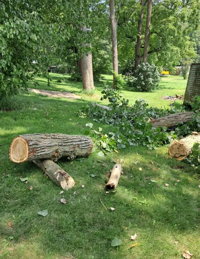 Trusted lawn care service for outdoor upgrades across Fort Wayne, IN - Tree Service Pro