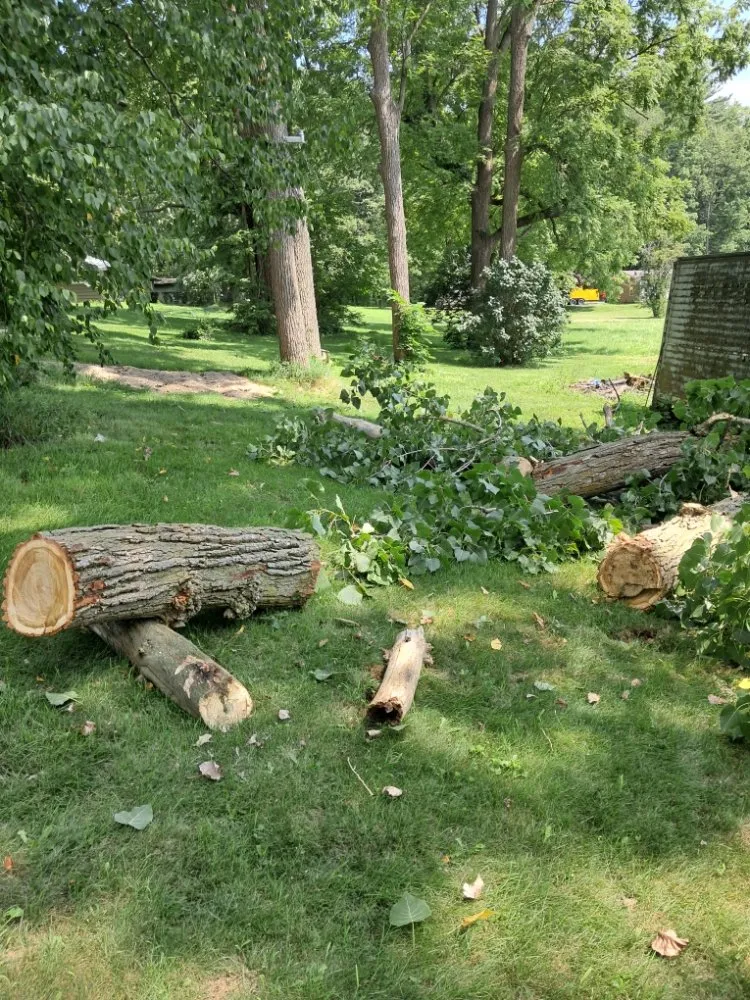 Local landscape design in Fort Wayne, IN - Tree Service Pro