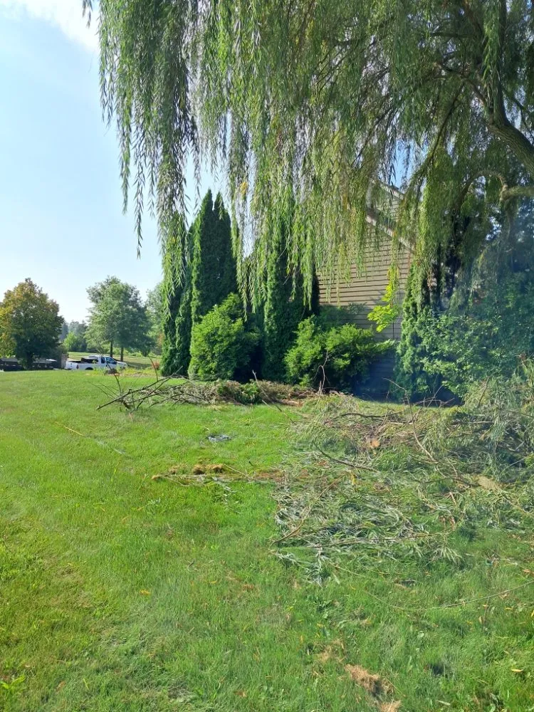 Professional landscape installation for homes in Fort Wayne, IN by Tree Service Pro