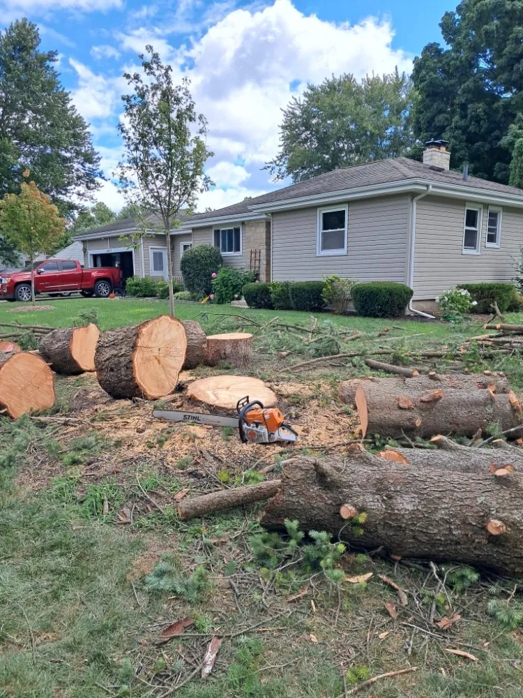 Top-rated yard maintenance in Fort Wayne, IN by Tree Service Pro