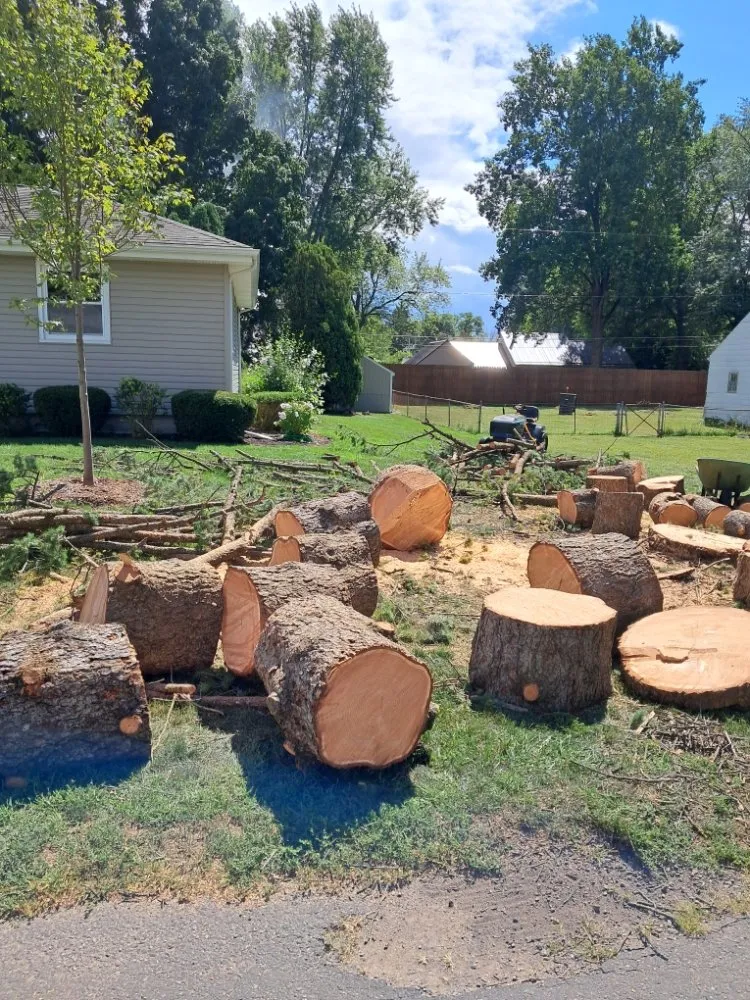 Affordable landscaping services for beautiful yards in Fort Wayne, IN by Tree Service Pro