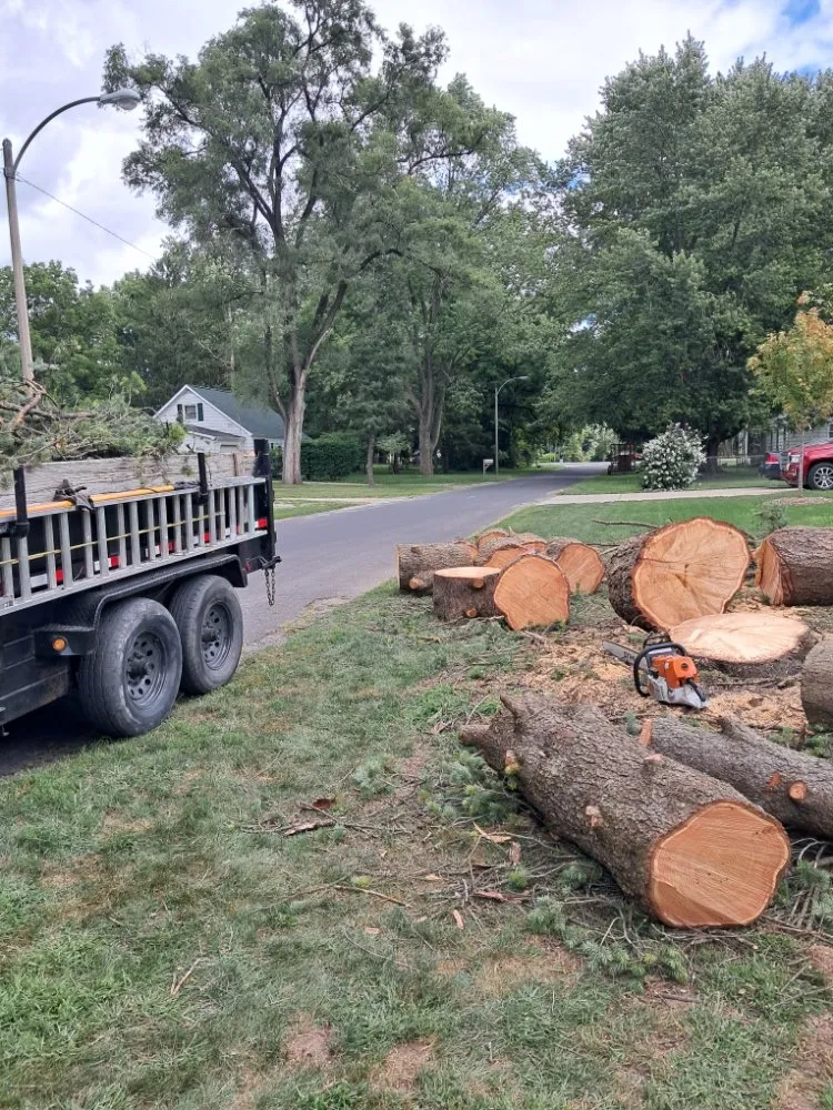 Expert yard cleanup service for year-round maintenance across Fort Wayne, IN - Tree Service Pro