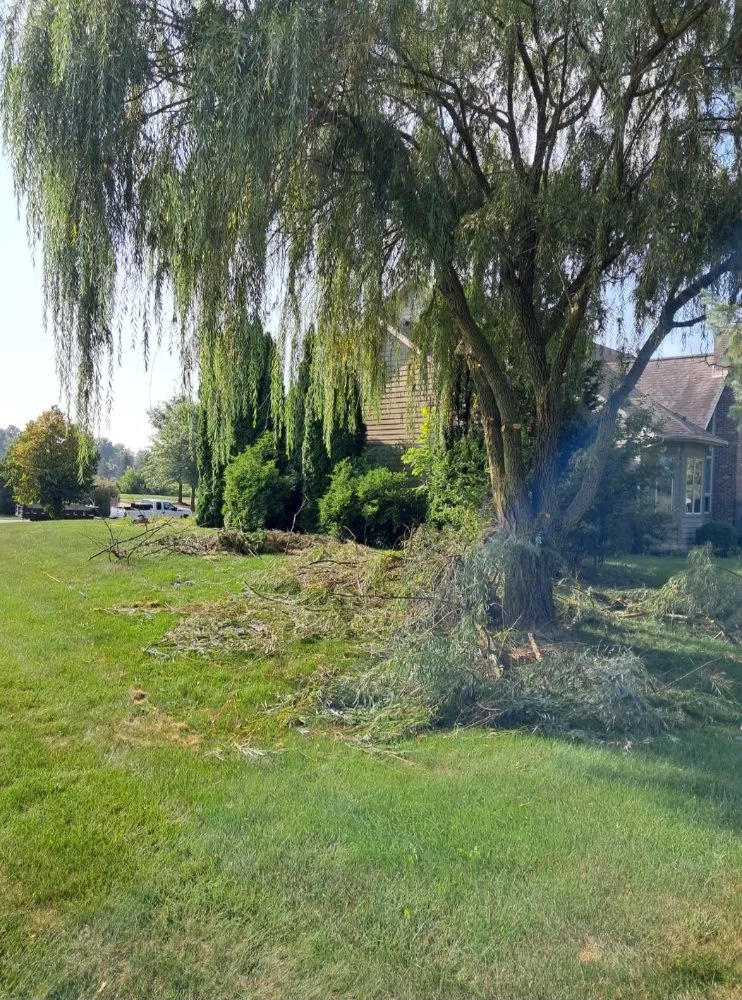 Affordable yard maintenance in Fort Wayne, IN - Tree Service Pro