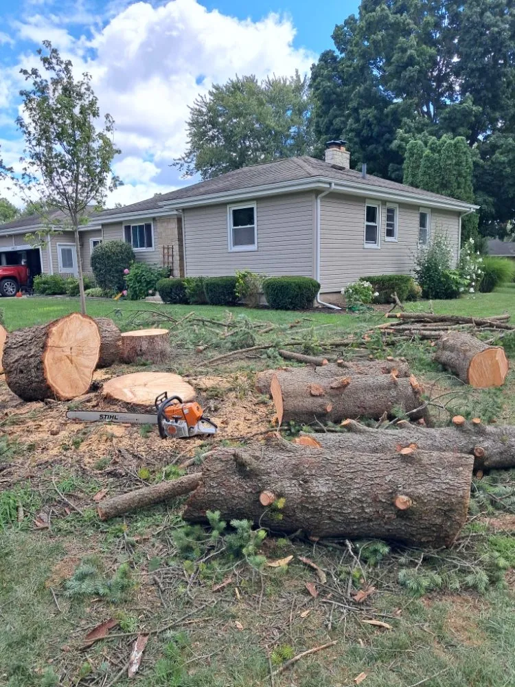 Custom residential landscaping for year-round maintenance across Fort Wayne, IN - Tree Service Pro