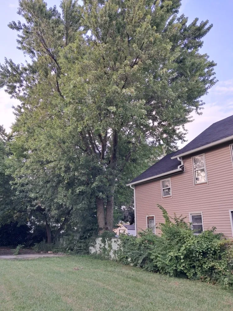 Trusted landscaping services experts serving Fort Wayne, IN - Tree Service Pro