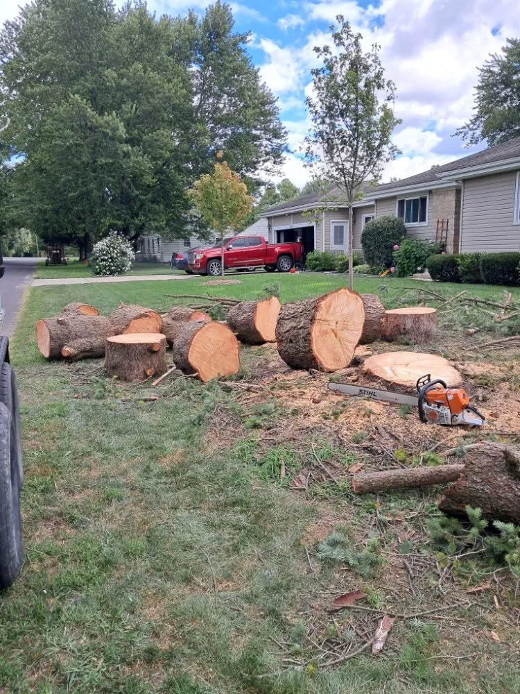 Trusted outdoor landscaping in Fort Wayne, IN - Tree Service Pro