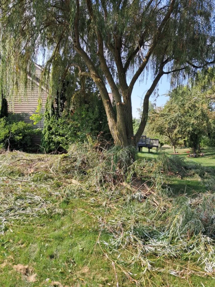 Professional landscape installation near you across Fort Wayne, IN - Tree Service Pro