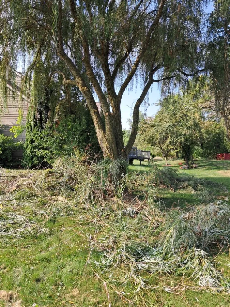 Local garden landscaping for outdoor upgrades in Fort Wayne, IN by Tree Service Pro