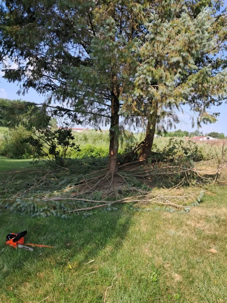 Professional lawn care service with custom design in Fort Wayne, IN by Tree Service Pro