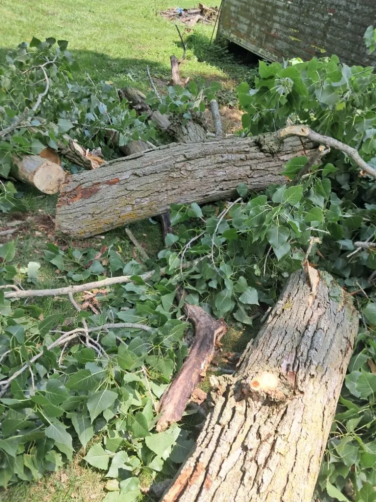 Custom lawn care service for residential properties across Fort Wayne, IN - Tree Service Pro