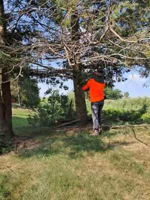 Tree Service Pro Logo