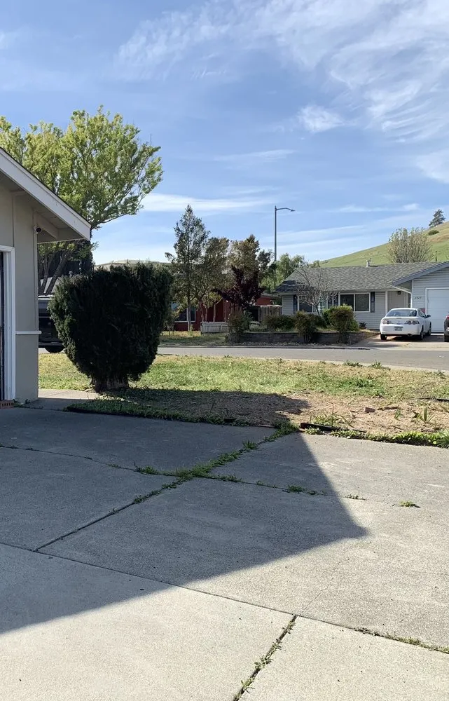 Trusted lawn care service in Vallejo, CA by Tree Service Pro Vallejo