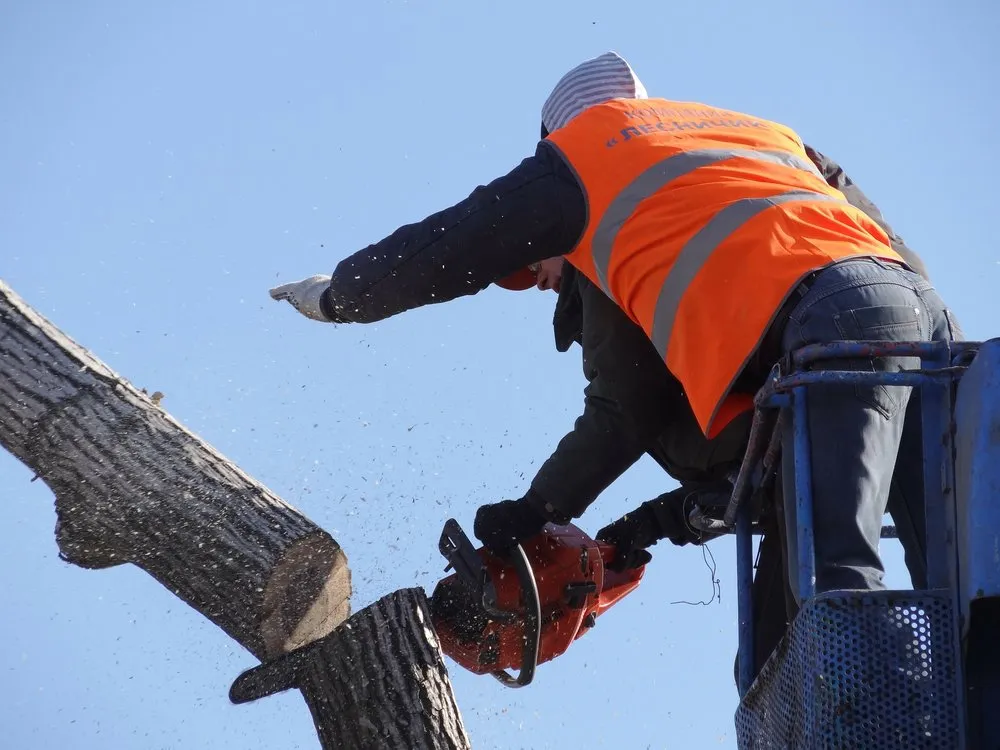 Professional residential landscaping experts serving Vallejo, CA - Tree Service Pro Vallejo