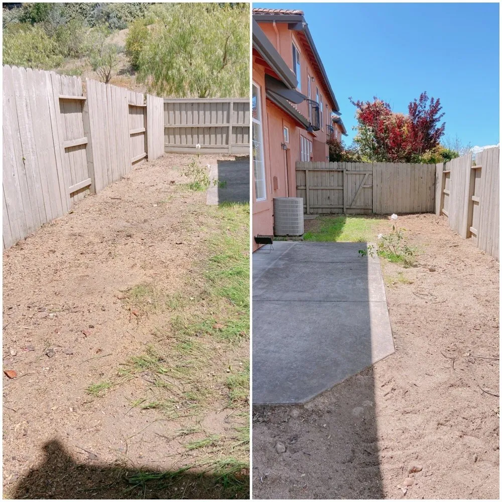 Custom yard cleanup service for year-round maintenance in Vallejo, CA by Tree Service Pro Vallejo