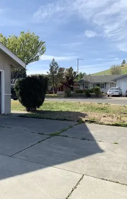 Tree Service Pro Vallejo Logo