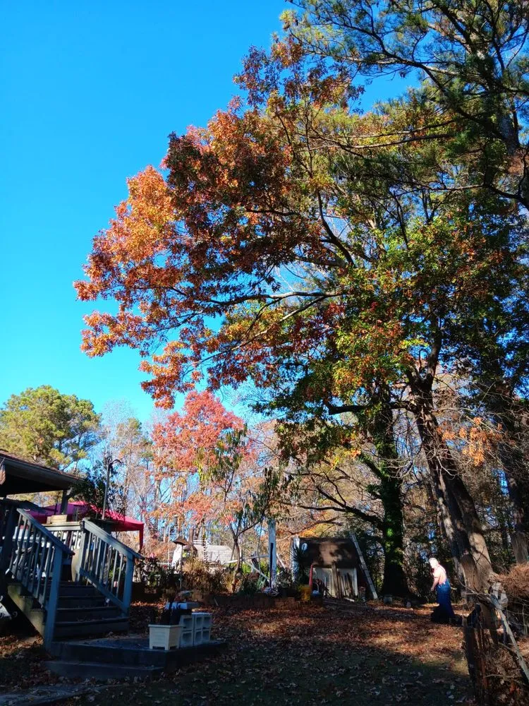 Custom garden landscaping for year-round maintenance across Mableton, GA - Tree Service Quiroz