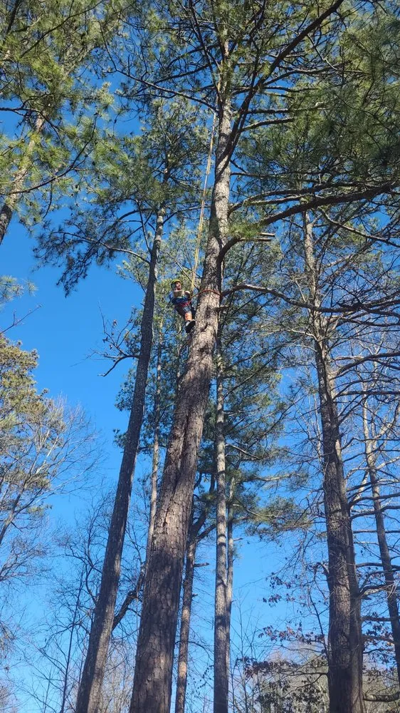 Affordable outdoor landscaping experts serving Mableton, GA - Tree Service Quiroz