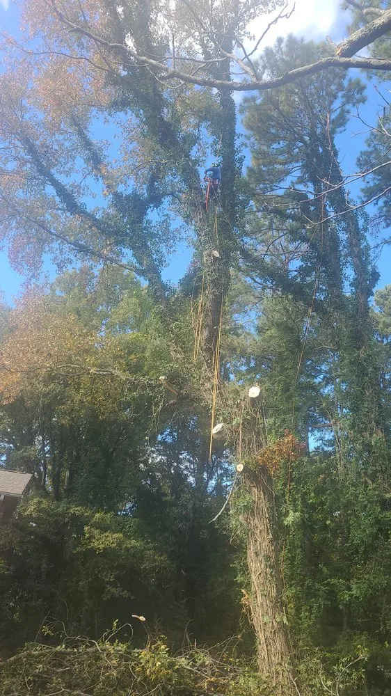 Expert landscaping services in Mableton, GA by Tree Service Quiroz