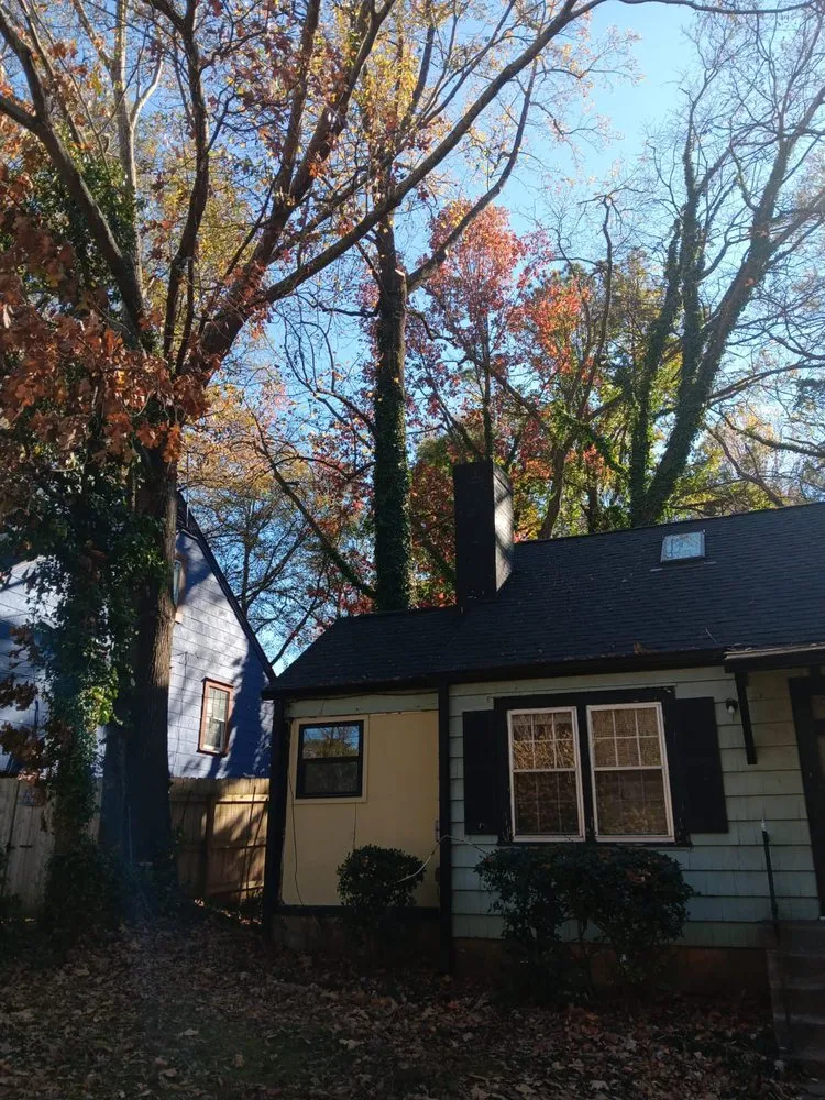 Reliable yard cleanup service near you across Mableton, GA - Tree Service Quiroz