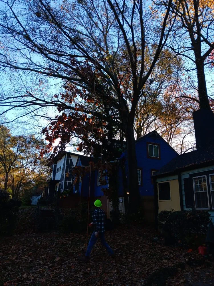 Professional residential landscaping for residential properties in Mableton, GA by Tree Service Quiroz