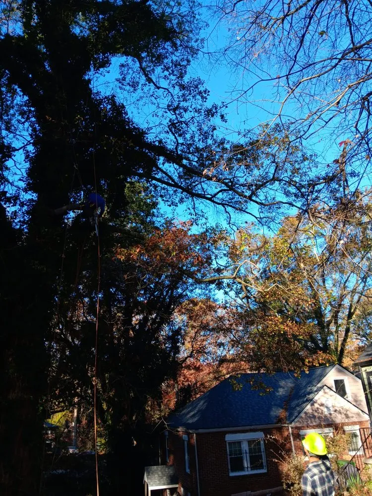 Top-rated landscape installation experts serving Mableton, GA - Tree Service Quiroz