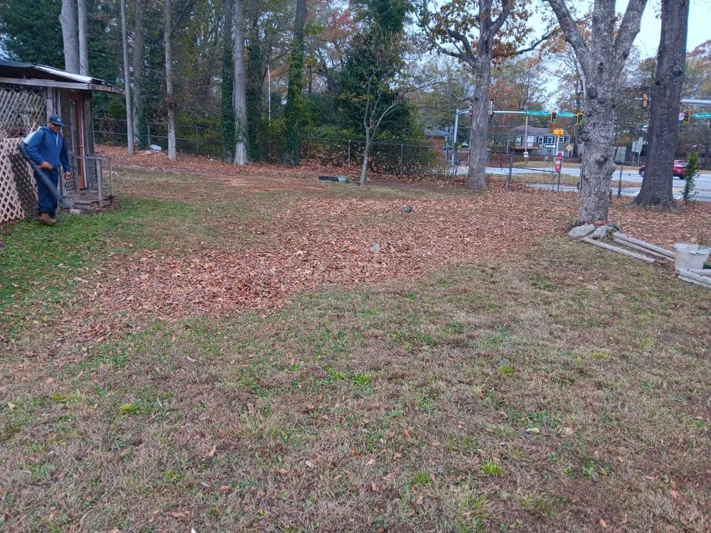 Affordable landscape installation in Mableton, GA by Tree Service Quiroz