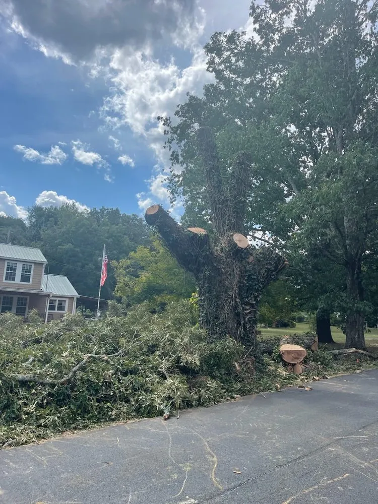 Trusted landscape installation in Mableton, GA - Tree Service Quiroz