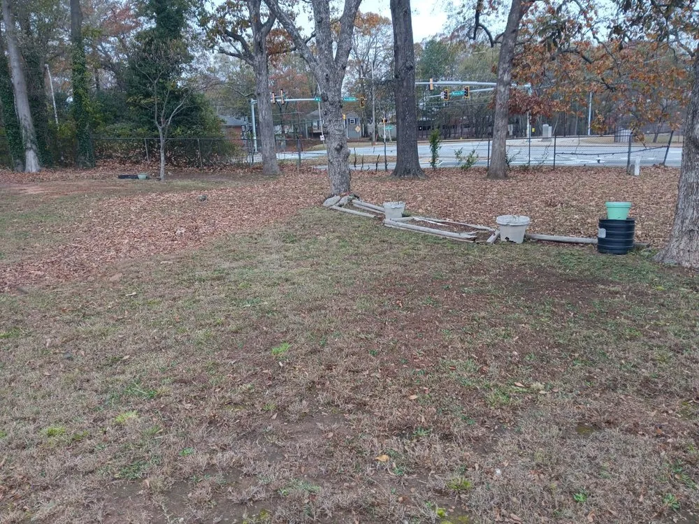 Expert yard cleanup service for residential properties across Mableton, GA - Tree Service Quiroz