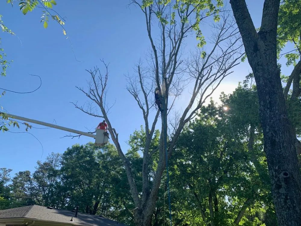 Reliable lawn care service experts serving Mableton, GA - Tree Service Quiroz