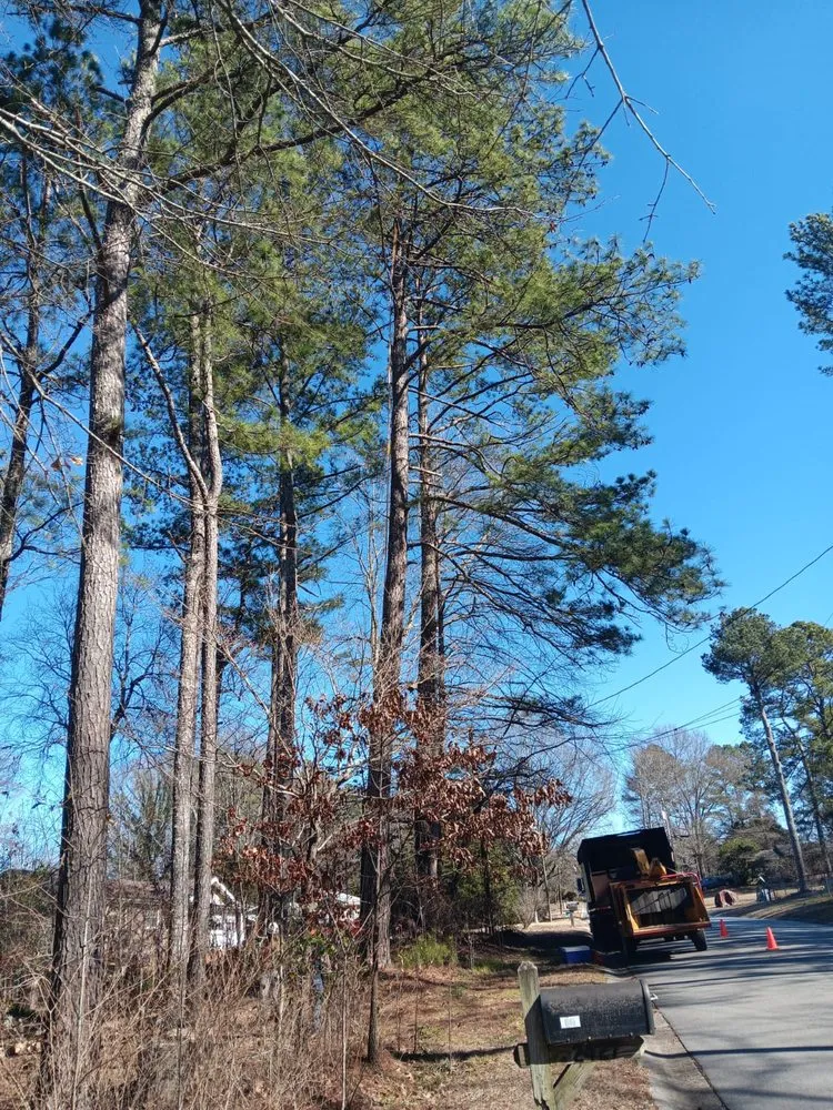 Reliable outdoor landscaping for outdoor upgrades in Mableton, GA by Tree Service Quiroz