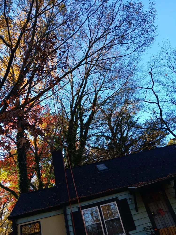 Top-rated landscape installation in Mableton, GA - Tree Service Quiroz