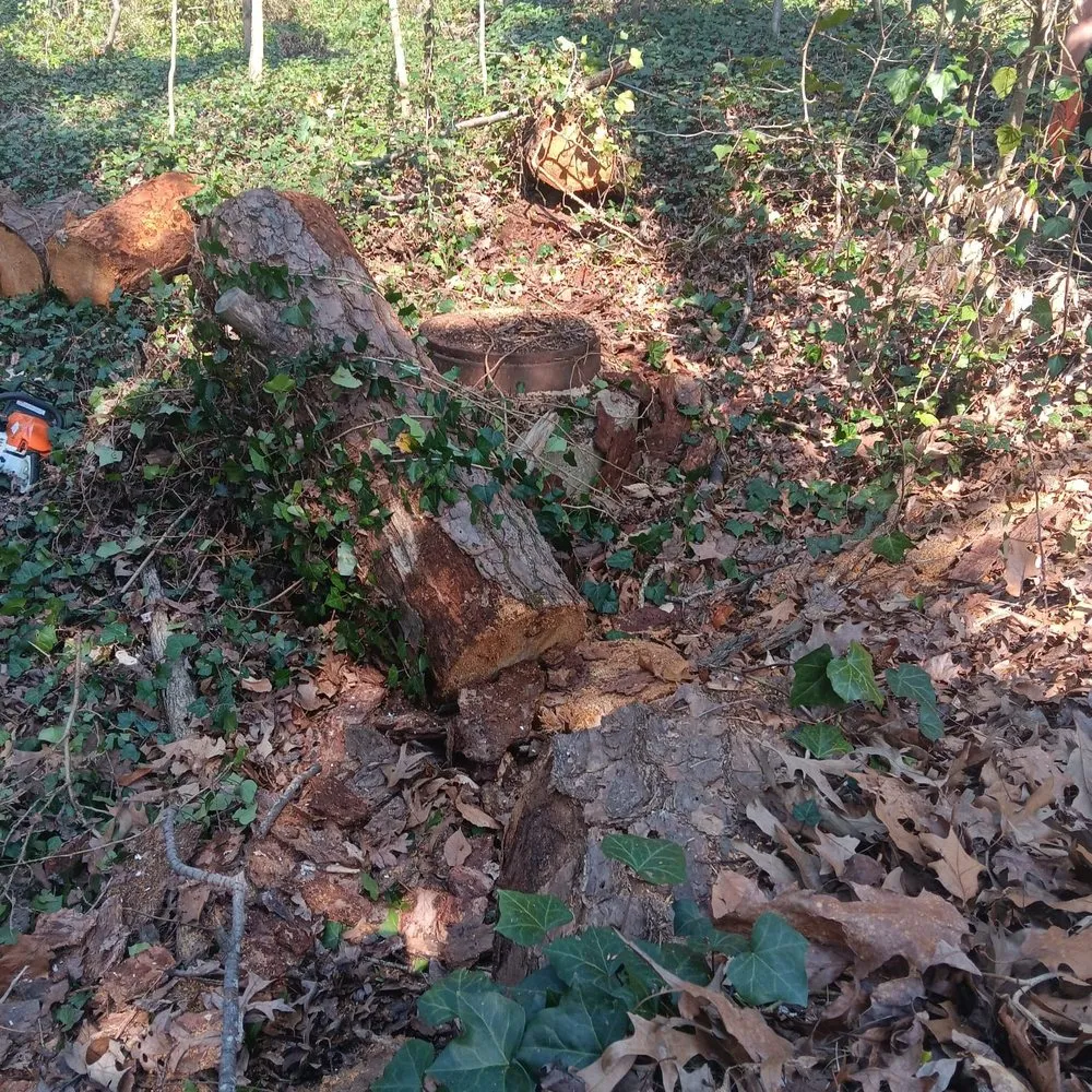 Top-rated landscaping services in Mableton, GA - Tree Service Quiroz