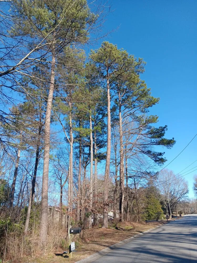 Reliable landscaping services in Mableton, GA - Tree Service Quiroz