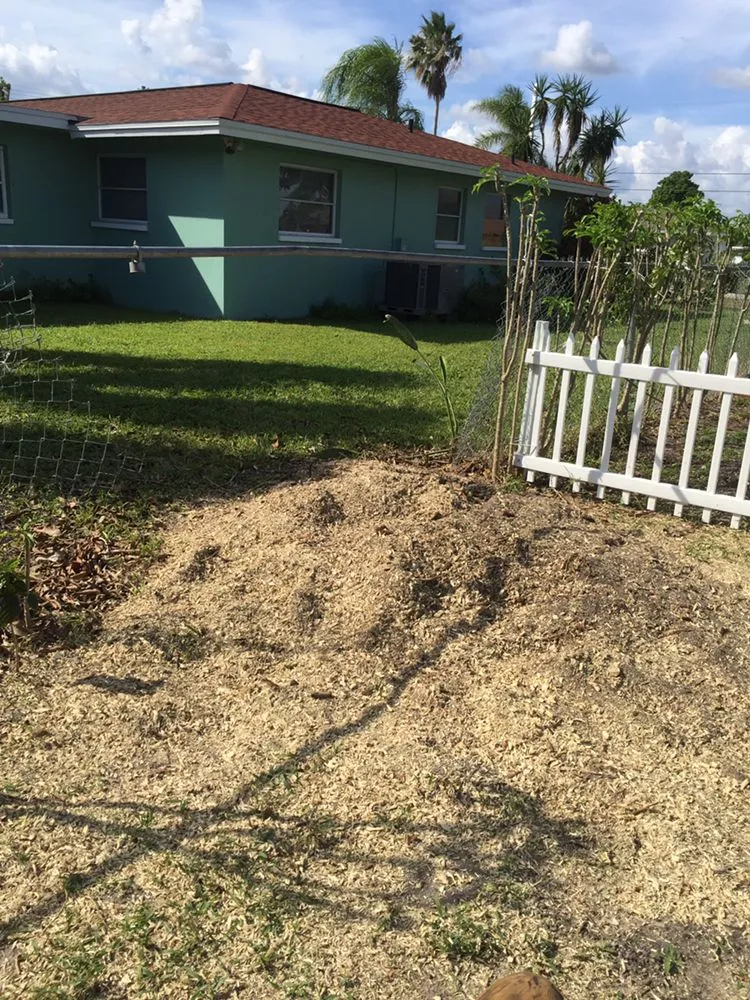 Top-rated residential landscaping in Fort Myers, FL by Tree Service Stump Grinding Lawncare