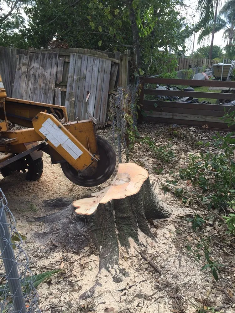 Affordable garden landscaping in Fort Myers, FL - Tree Service Stump Grinding Lawncare