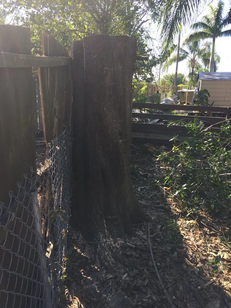 Local garden landscaping experts serving Fort Myers, FL - Tree Service Stump Grinding Lawncare